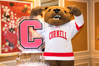Cornell Club Volunteer Night 2016